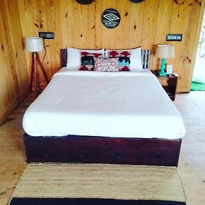 Tree House 2 Rooms